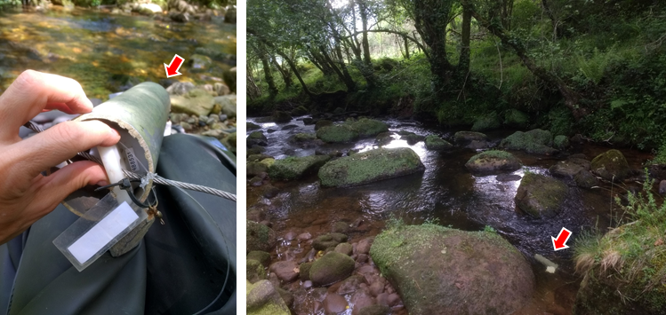 Water temperature sensor and location in-stream.
