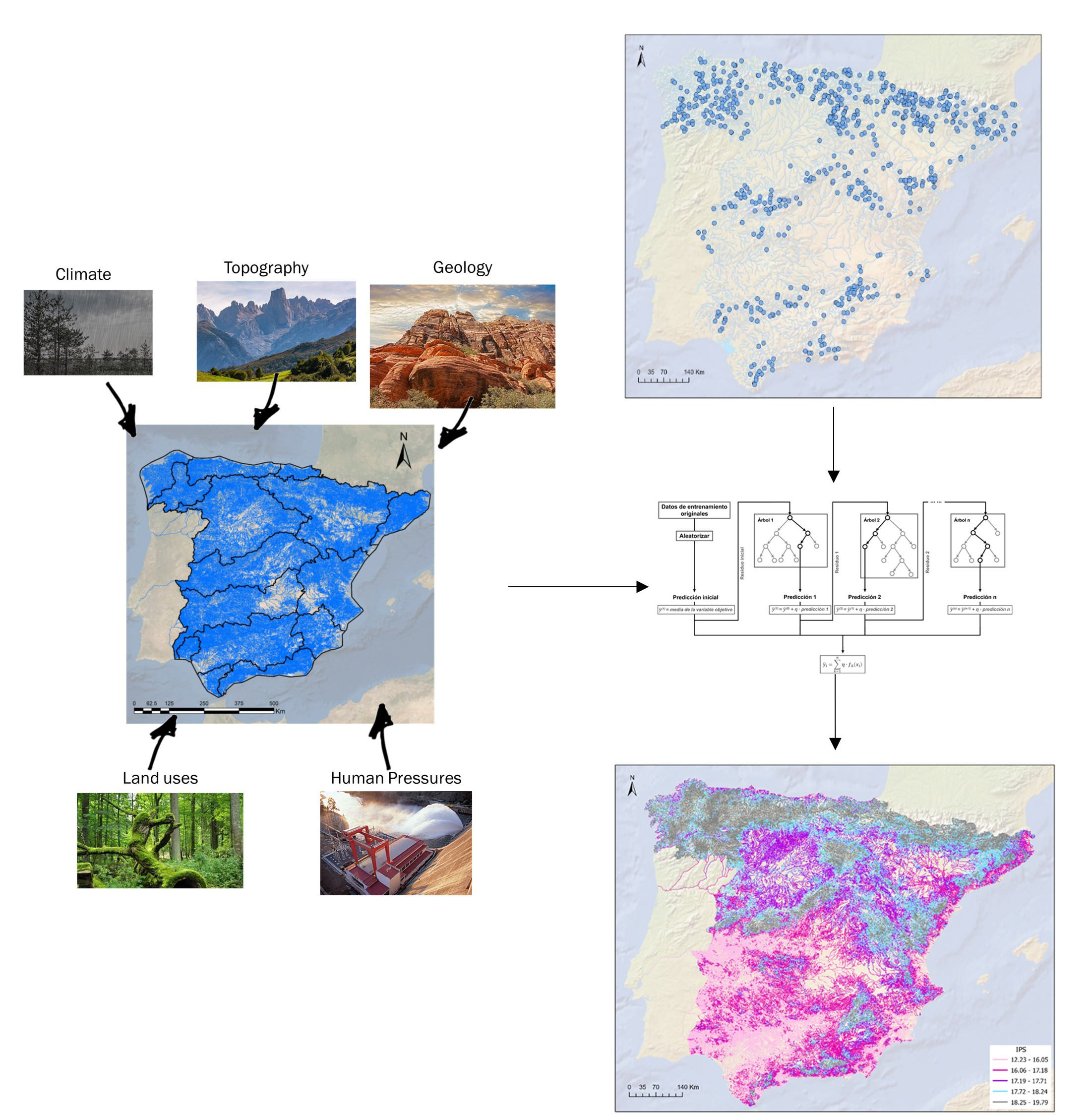 Scheme of the modelling approach to model the ecological reference condition sensu WFD in Spain