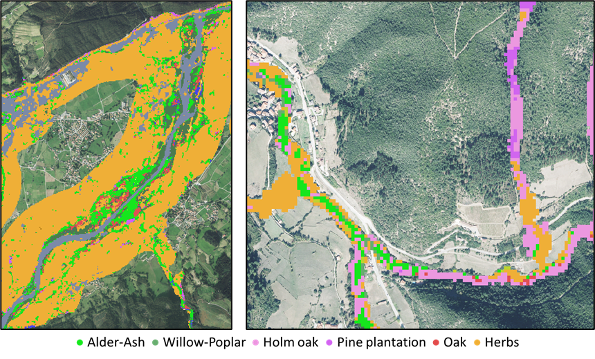 Riparian forest pixel-level classification.