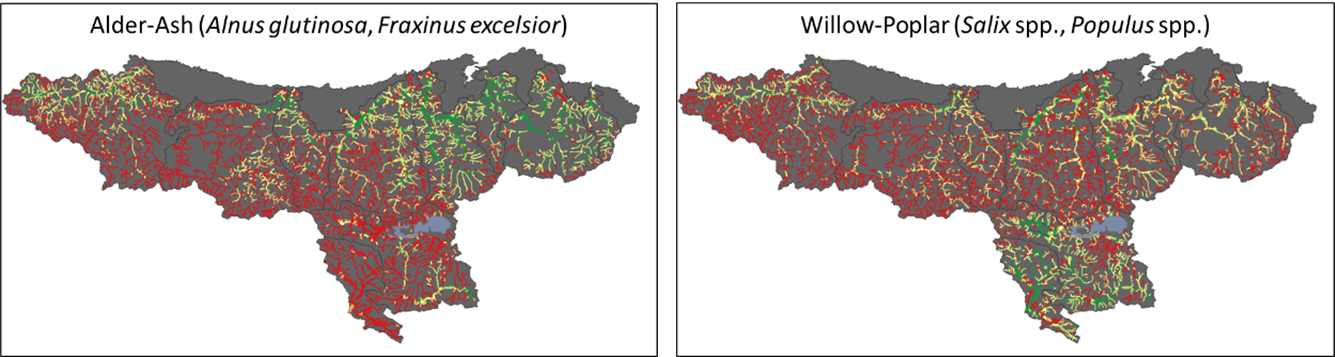 Modelled distribution of two forest types along river networks.